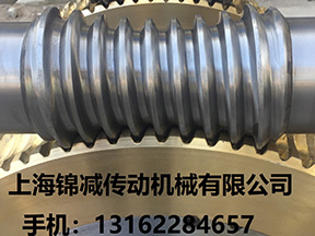 平面二次包络环面蜗杆蜗轮
