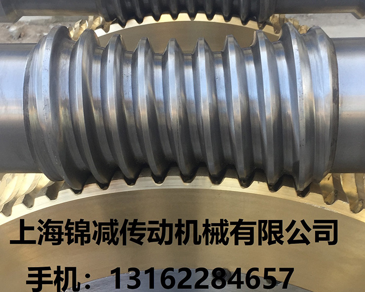 平面二次包络环面蜗杆蜗轮