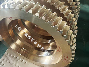 密炼机用蜗杆蜗轮A