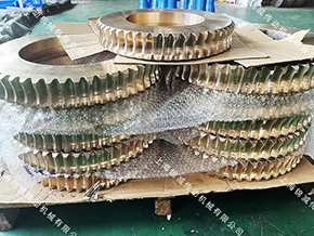 计量泵用蜗杆蜗轮B