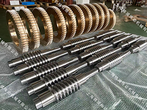 计量泵用蜗杆蜗轮C