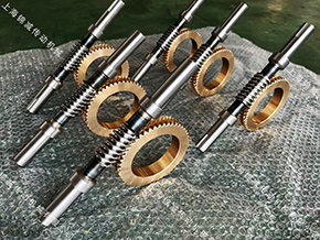 计量泵用蜗杆蜗轮G